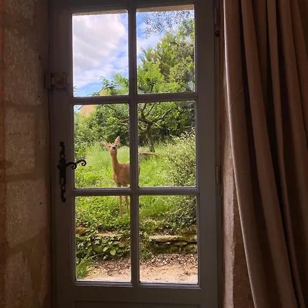 度假居 3-Bed Stone House Private Wild Garden Sarlat Centre