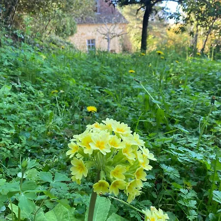Дом отдыха 3-Bed Stone House Private Wild Garden Sarlat Centre Сарла-ла-Канеда